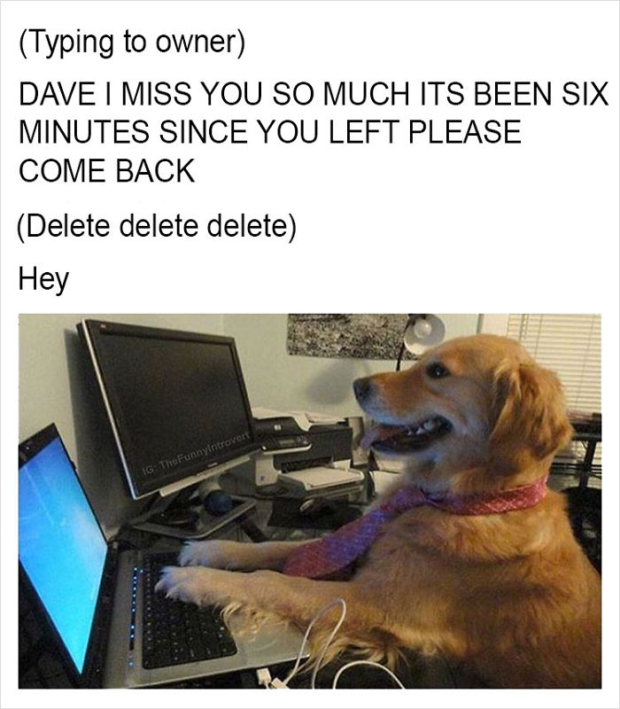 Funny-memes-tank-sinatra