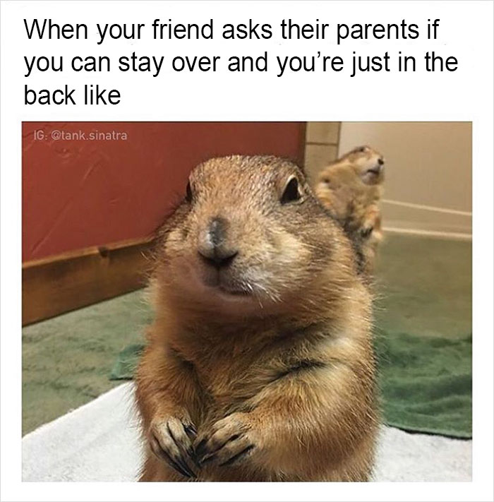 Funny-memes-tank-sinatra