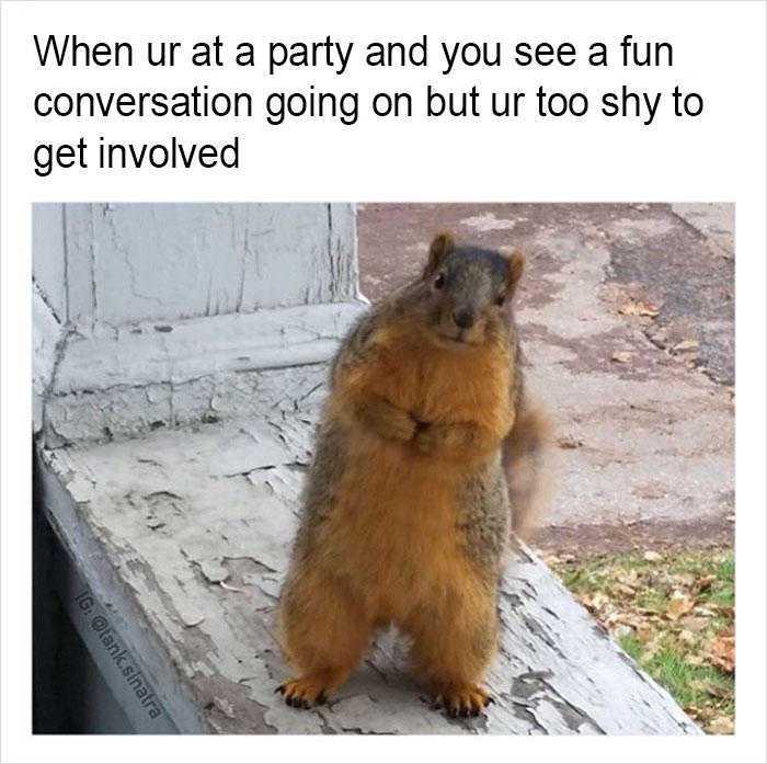 Funny-memes-tank-sinatra