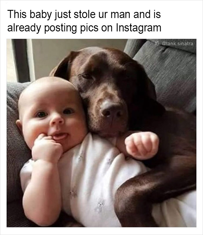 Funny-memes-tank-sinatra