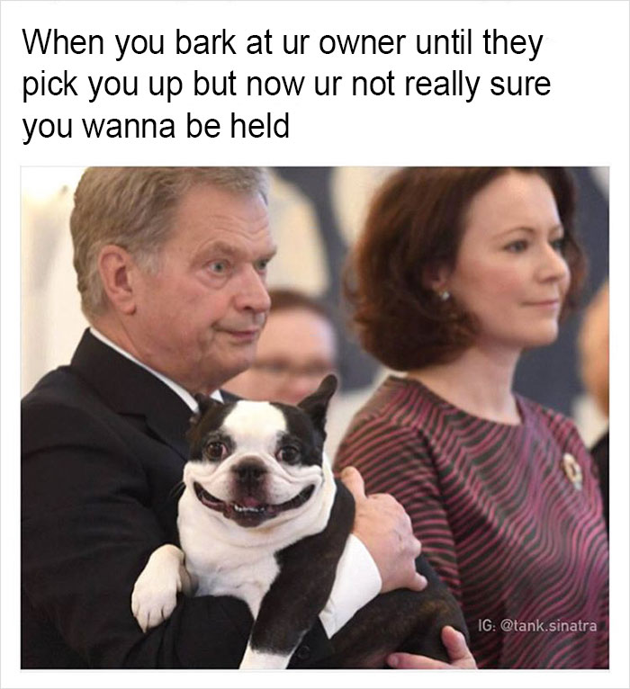 Funny-memes-tank-sinatra