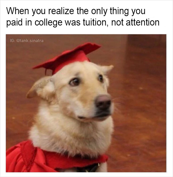 Funny-memes-tank-sinatra