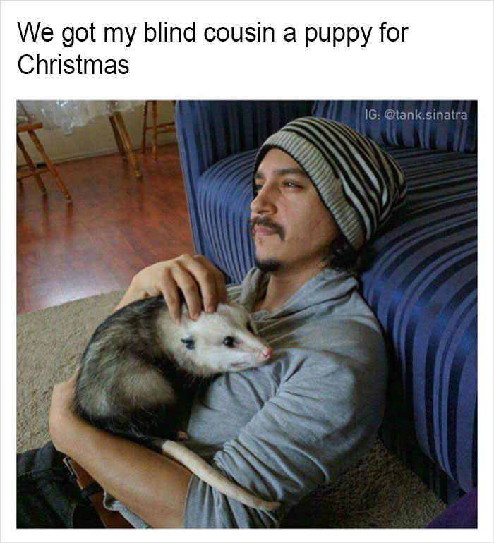 Funny-memes-tank-sinatra