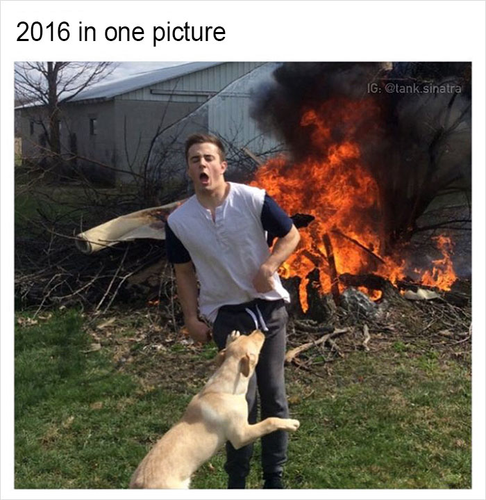 Funny-memes-tank-sinatra