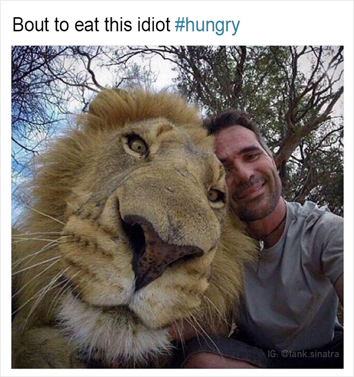 Funny-memes-tank-sinatra