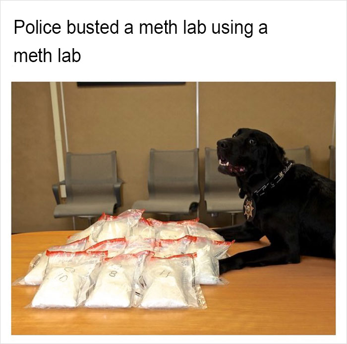 Funny-memes-tank-sinatra