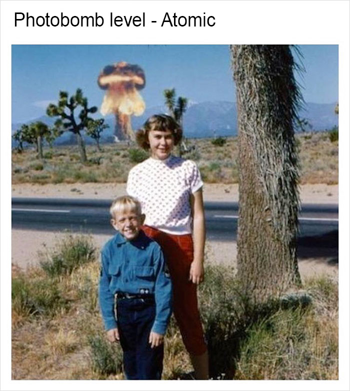 Funny-memes-tank-sinatra