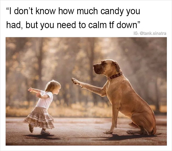 Funny-memes-tank-sinatra