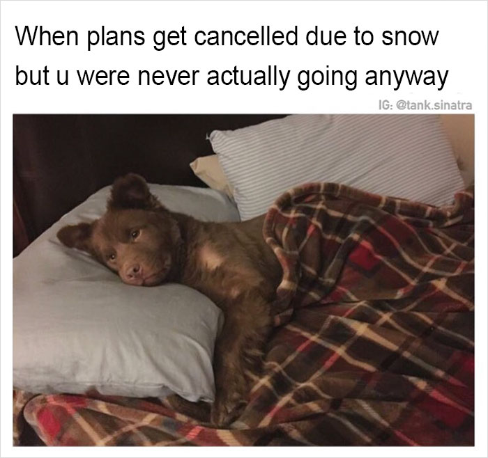 Funny-memes-tank-sinatra