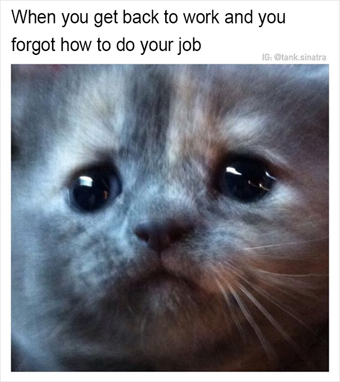 Funny-memes-tank-sinatra