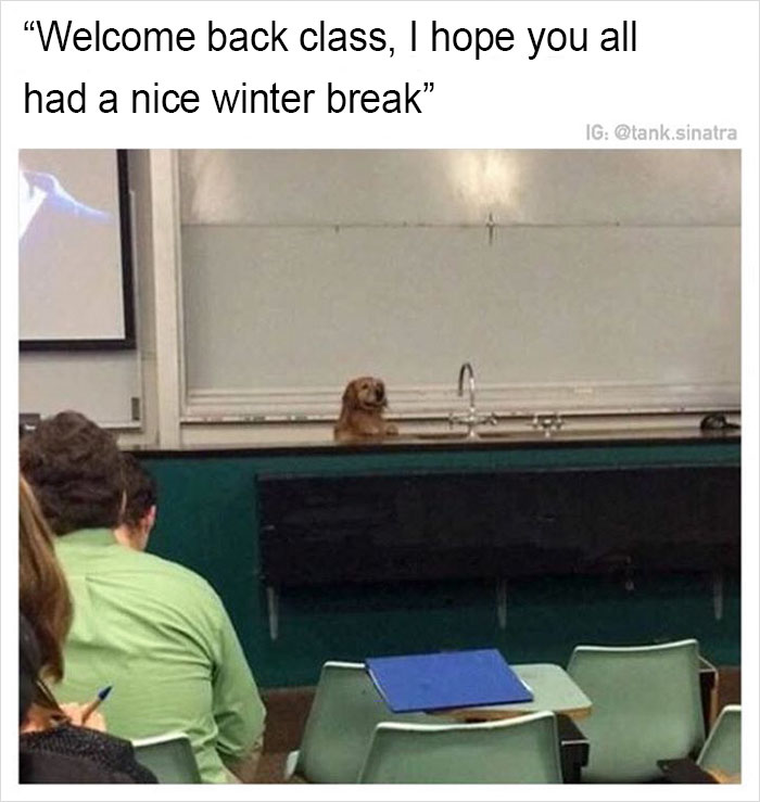 Funny-memes-tank-sinatra