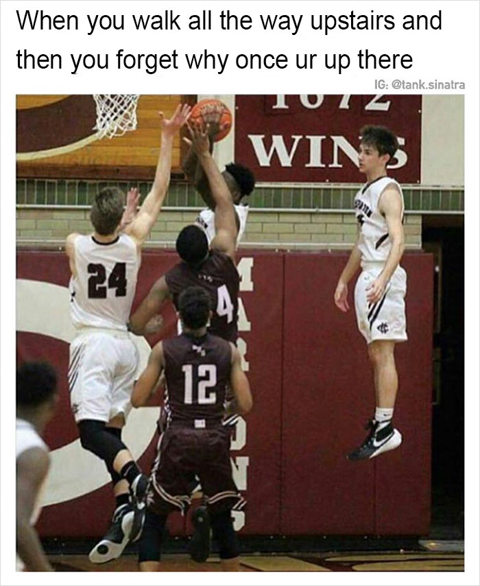 Funny-memes-tank-sinatra