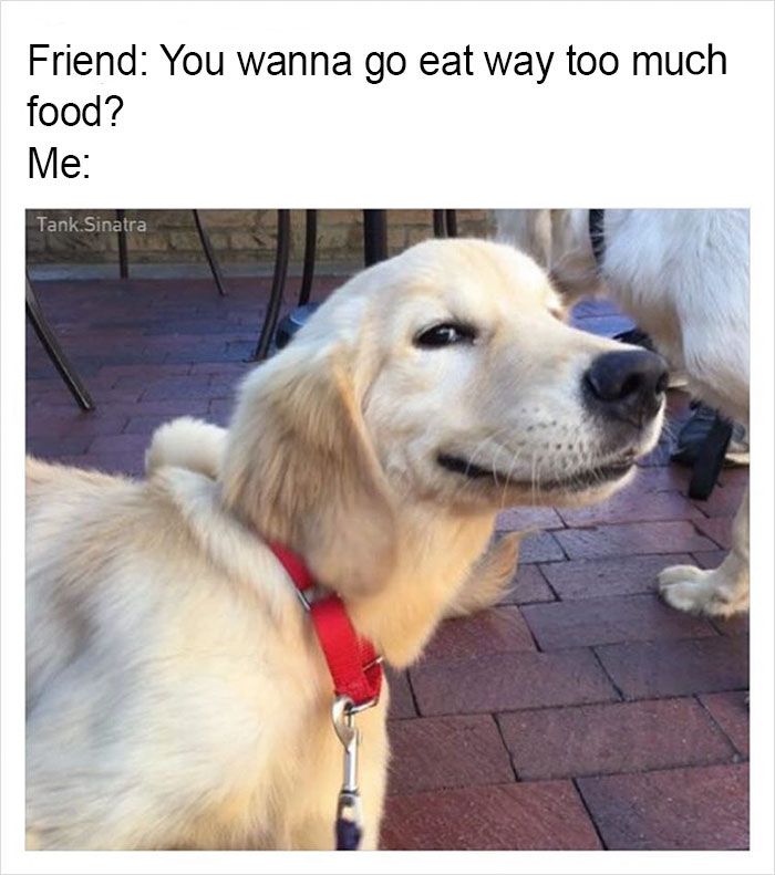 Funny-memes-tank-sinatra