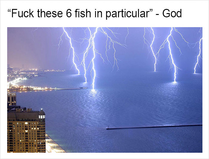 Funny-memes-tank-sinatra