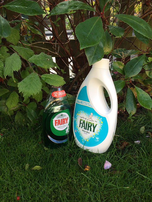 Told The Kids There Were Fairies At The Bottom Of The Garden & Now They're Not Talking To Me