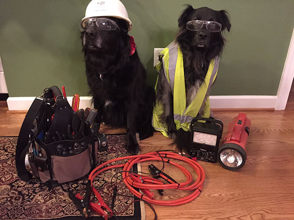 My Apartment Lost Power For Two Days. I Complained To My Dad, And Minutes Later, I Got A Text: "They're On The Case!"