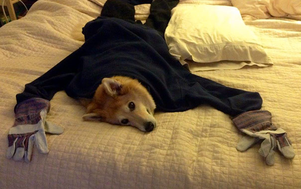 My Parents Just Sent This To Me. I Think It's My Dad's Handiwork