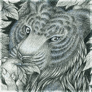 iwona-j-milewska avatar