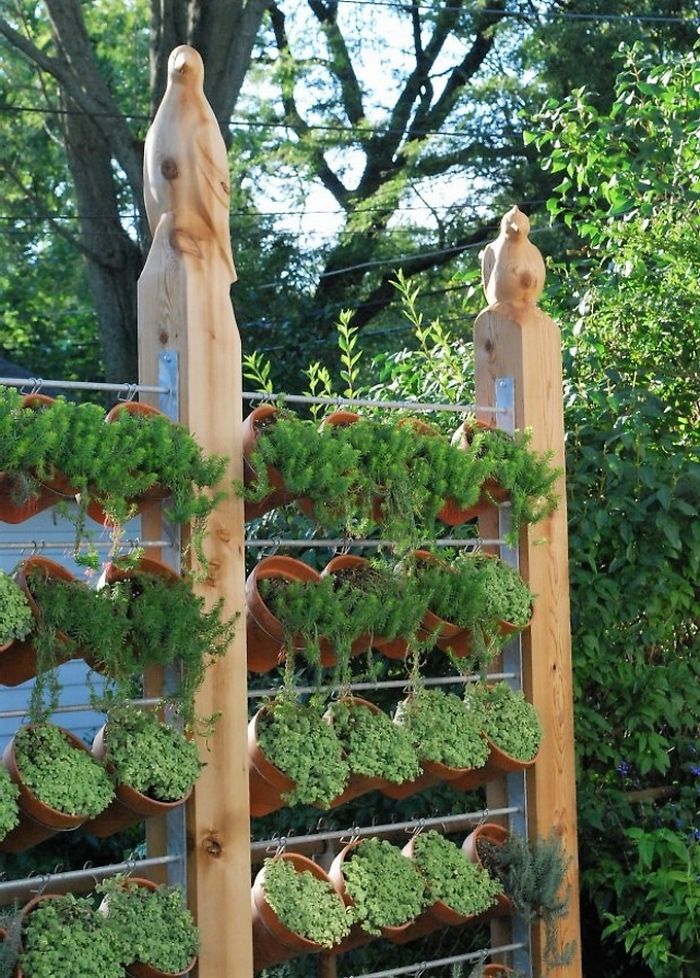 Diy Beautiful Garden Designs Ideas