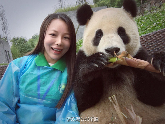 giant-panda-poses-tourist-selfie-5 giant-panda-poses-tourist-selfie-5