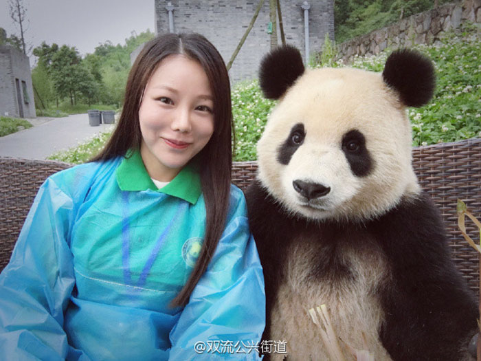 giant-panda-poses-tourist-selfie-6 giant-panda-poses-tourist-selfie-6