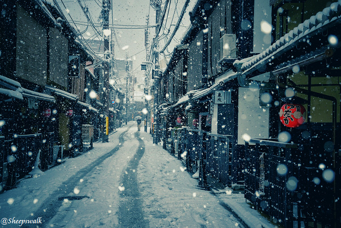 Heavy Snowfall In Kyoto