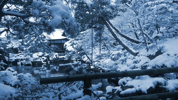 Heavy Snowfall In Kyoto