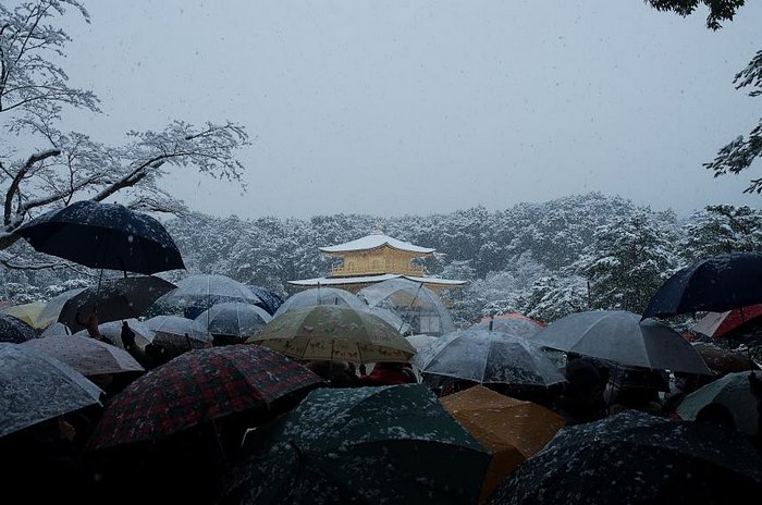 Heavy Snowfall In Kyoto