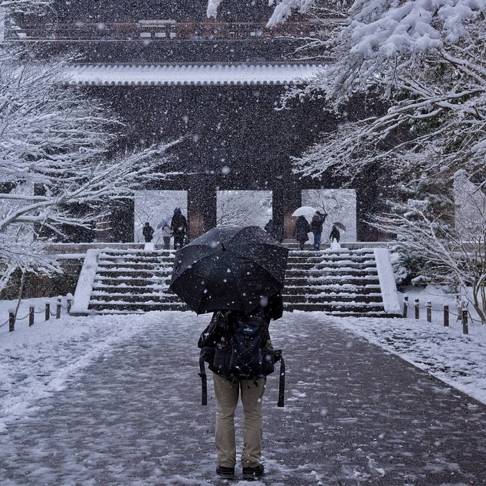 Heavy Snowfall In Kyoto