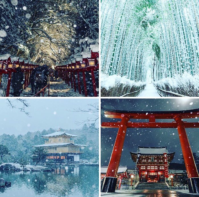 Heavy Snowfall In Kyoto