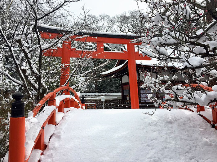 Heavy Snowfall In Kyoto