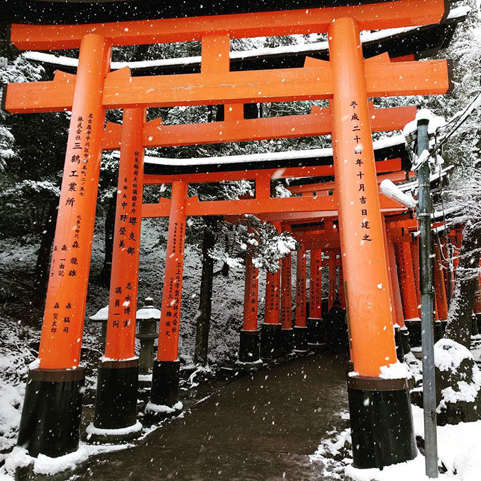 Heavy Snowfall In Kyoto