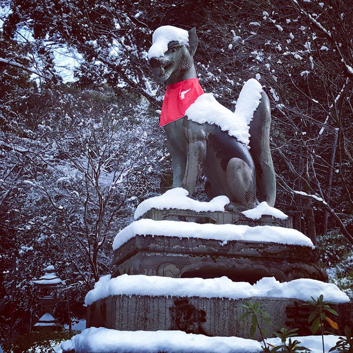 Heavy Snowfall In Kyoto