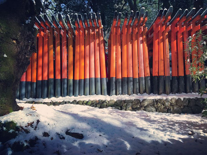 Heavy Snowfall In Kyoto