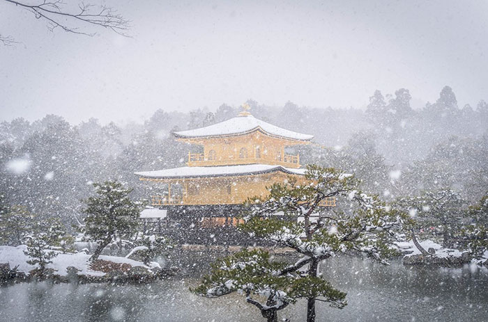 Heavy Snowfall In Kyoto