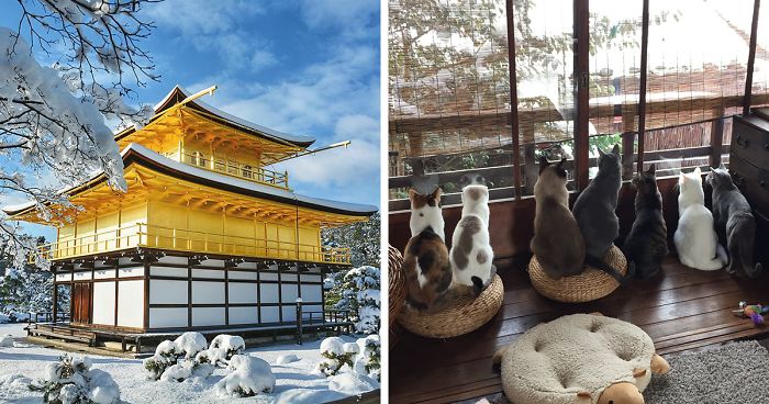 Rare Heavy Snowfall Turns Kyoto Into Winter Wonderland, And The Photos Look Absolutely Magical