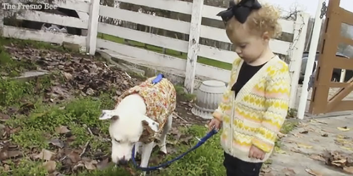 homeless-man-cancer-dog-baby-1