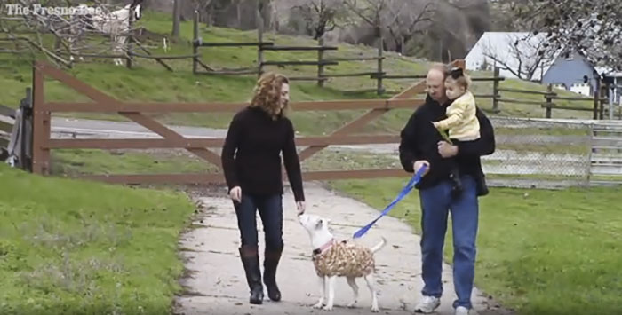 homeless-man-cancer-dog-baby-2