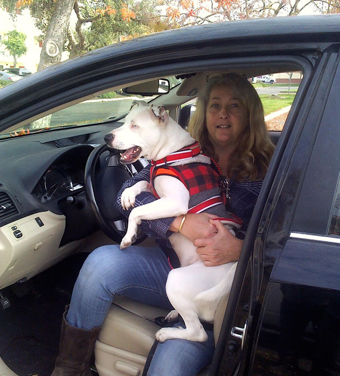 homeless-man-cancer-dog-baby-5