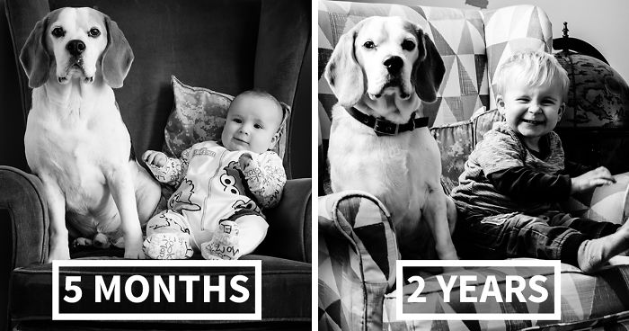 I’ve Taken A Picture Of My Son And Beagle Every Month For The Last Two Years In The Same Chair