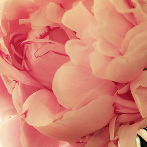 j_irish_ramos avatar