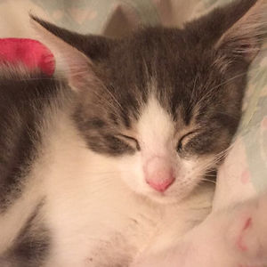 amanda-hernandez-3591 avatar