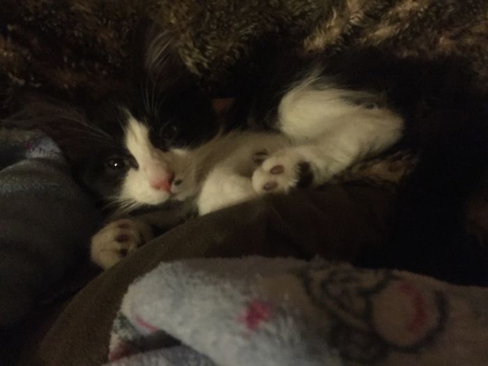 When She's Been Called 'good Girl' But Is Clearly Planning Her Next Bout Of Mischief