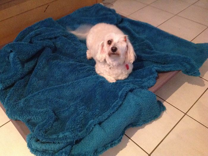 Before And After Being Called A Girl.