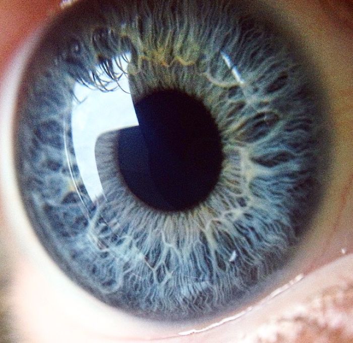 Eye Photography