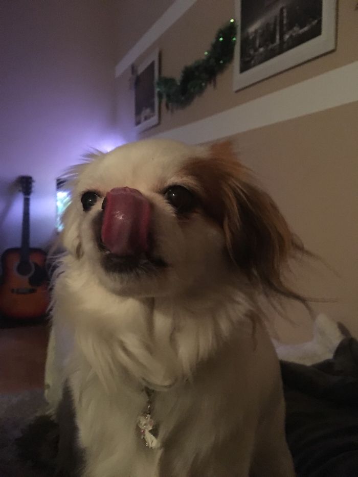 She Is A Good Girl Xd