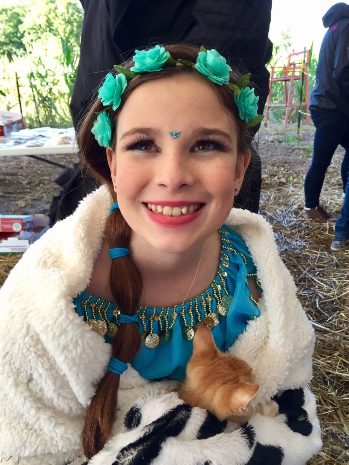 When I Got My New Cat After My Old Cat Died.