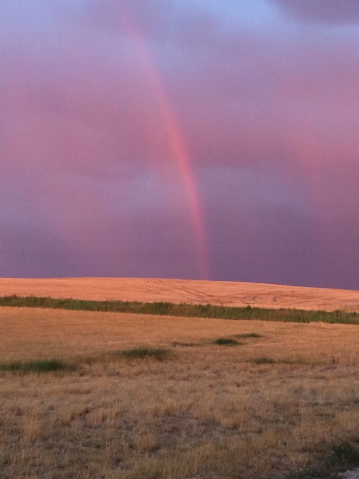 Stuff That's In My Photos