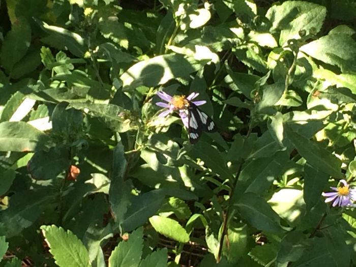 Stuff That's In My Photos