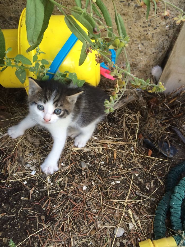 Stuff That's In My Photos